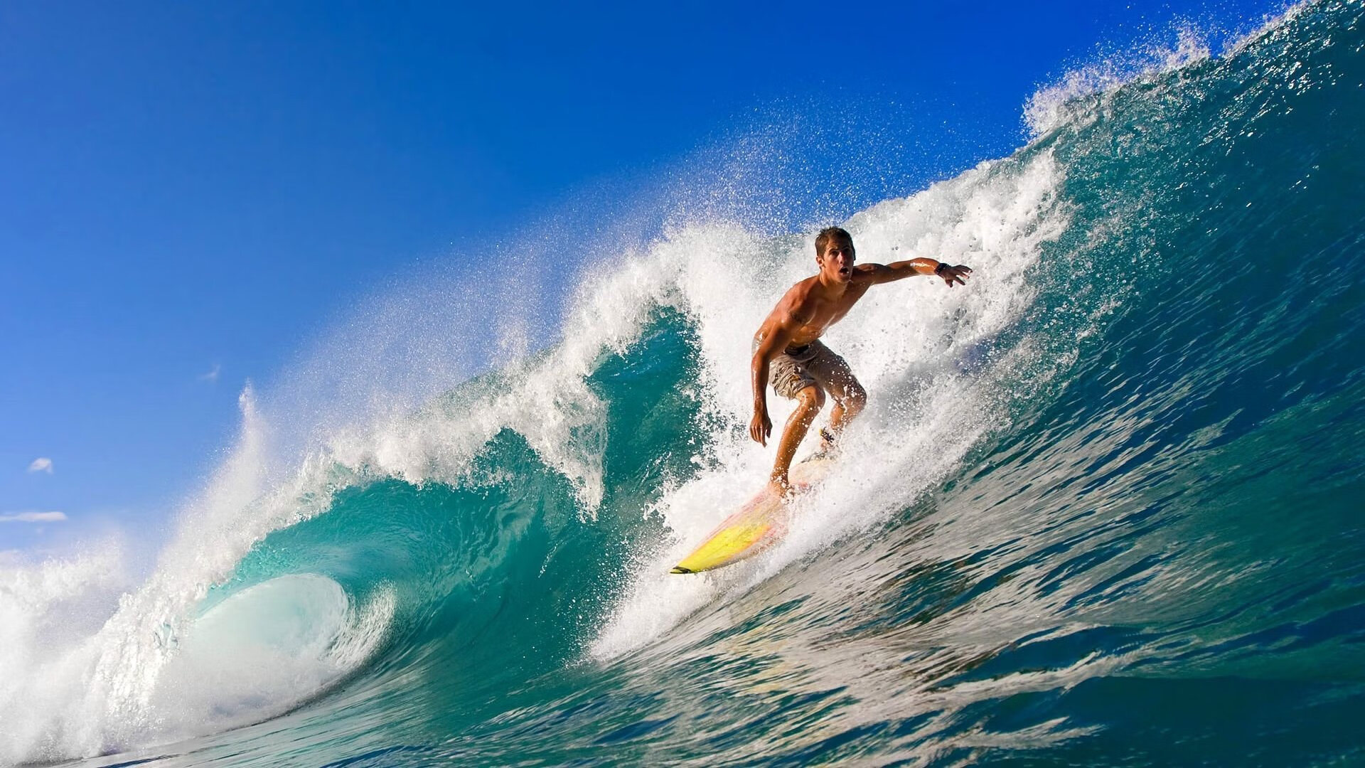 _虚拟赛车模拟：沉浸式极速体验_，虚拟赛车动画片